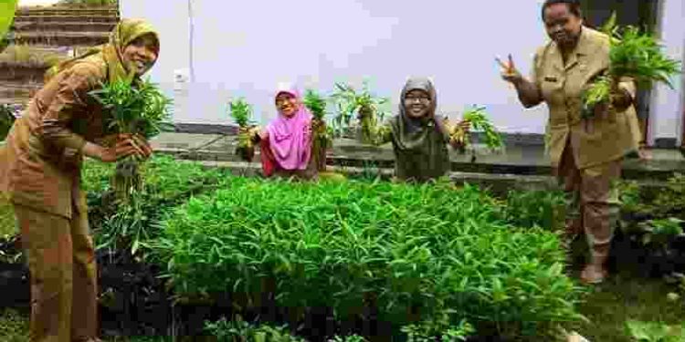 Inilah 6 Manfaat Rutin Makan Sayur Kangkung untuk Kesehatan, Nomor 4 Bikin Kaget