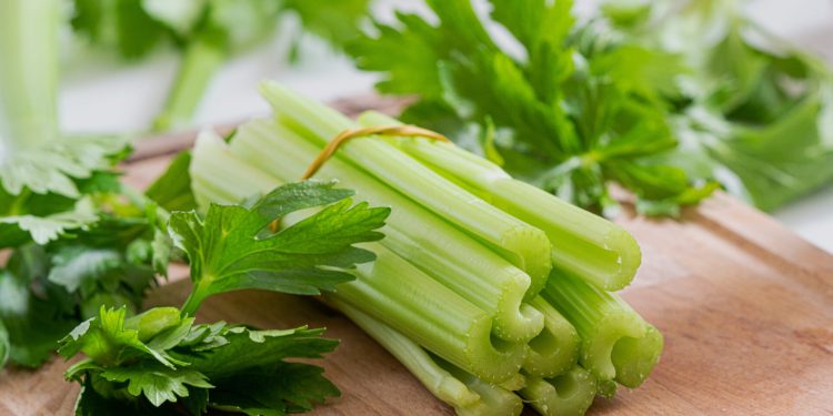 Manfaat Tanaman Seledri Bagi Kesehatan, Bisa Menambah Gairah Seksual