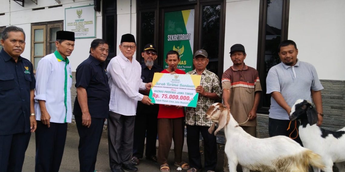 Baznas Jatim Bersama Bupati Pacitan Menyerahkan Bantuan Ternak Kambing Sebesar 75 Juta