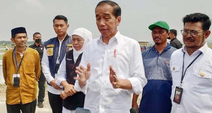 Prediksi El Nino Hingga Presiden Jokowi Impor Beras 2 Juta ton Saat Musim Panen