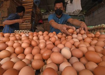 Di Maluku Harga Telur Ayam Tembus 37.000 per Kg, Kenaikan Terjadi Kurun Waktu Sepekan