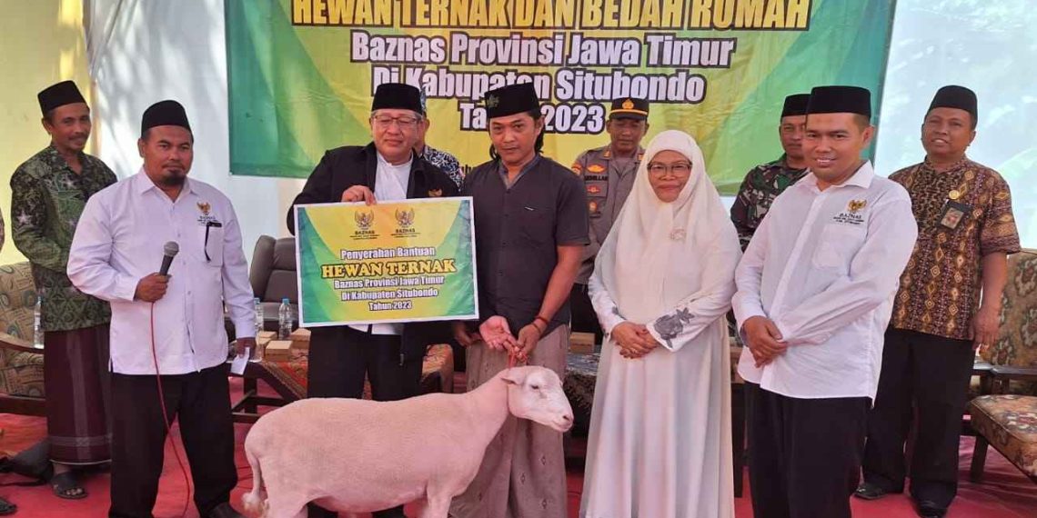 Baznas Jatim Berikan Puluhan Domba & Bantuan Bedah Rumah Kepada Mustahik di Situbondo