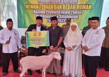 Baznas Jatim Berikan Puluhan Domba & Bantuan Bedah Rumah Kepada Mustahik di Situbondo