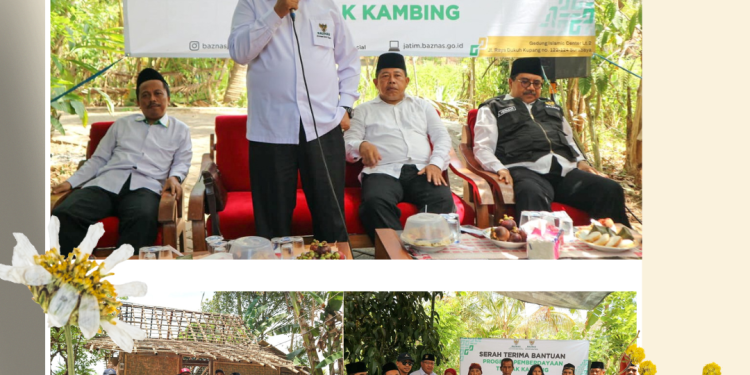 Baznas Jatim Salurkan Bantuan Ternak Kambing & Properti, Di Banyuwangi
