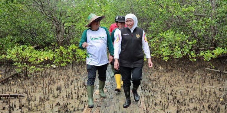 Gubernur Khofifah Gelar Festival Mangrove di Romokalisari Land Guna Mewujudkan Jatim  Net Zero Emission 2060.