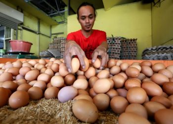 Mengantisipasi Harga Telur & Ayam Naik: Pj Wali Kota Malang Instruksikan TPID Lakukan Intervensi Pasar.