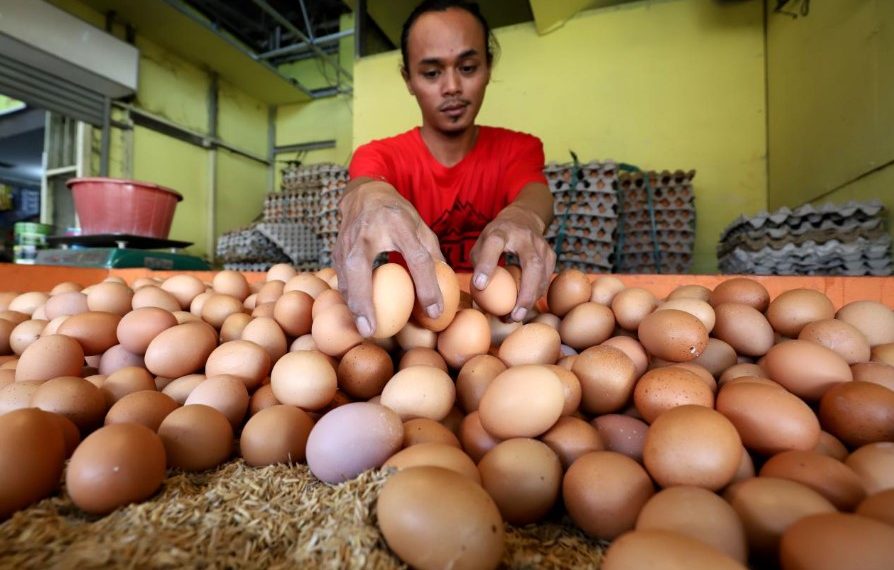Mengantisipasi Harga Telur & Ayam Naik: Pj Wali Kota Malang Instruksikan TPID Lakukan Intervensi Pasar.