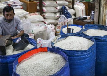 Gawat, Banyak Pedagang Pilih Tak Jualan Beras Premium Karena Harga Terlalu Tinggi!