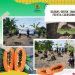 Baznas Gresik Tanam Pepaya California Untuk Program Kampung ZCD (Zakat Community Development).
