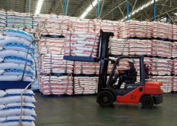 Bapanas Secara Diam – diam menyesuaikan Harga Acuan Pemerintah (HAP)