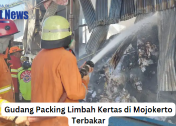 Gudang Packing Limbah Kertas di Mojokerto Terbakar