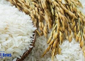 Bulog: Stok Sangat Mencukupi,Bantuan Beras Diperpanjang Sampai Akhir Tahun