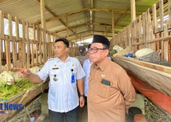 Tingkatkan Ekonomi Peternak Jetis Madiun, BAZNAS Luncurkan Program Balai Ternak Kambing