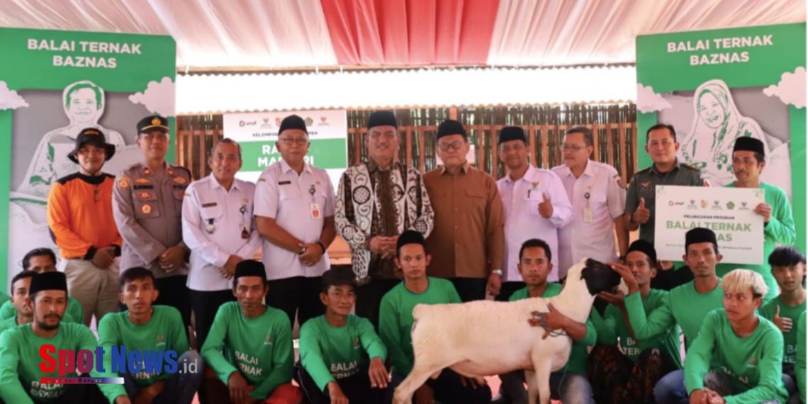 Peluncuran Balai Ternak di Jember, Kiai Husnul Khuluq: Zakat Produktif Angkat Ekonomi Mustahik