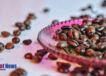 Kekeringan di Brasil Mengancam Kenaikan Harga Kopi