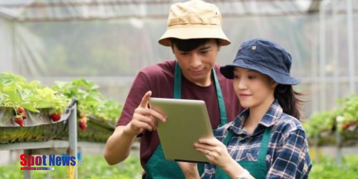 Mentan Amran Sulaiman Sebut Petani Milenial akan Berpendapatan Rp 20 Juta per Bulan