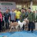 BAZNAS Kab. Ponorogo berhasil berikan bantuan ternak 30 ekor kambing di Wotan, Kec. Pulung.