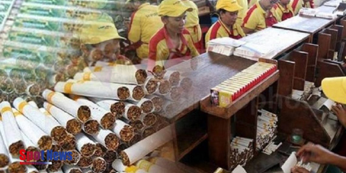 Pemkab Situbondo Dapat Kucuran Dana Cukai Tembakau Rp 77 M