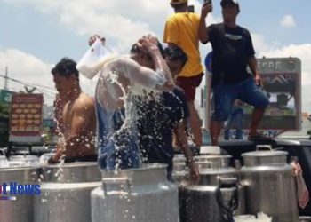 DPR Minta Pemerintah Beri Perhatian Khusus ke Peternak Sapi Lokal