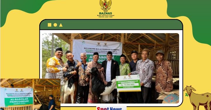 BAZNAS Jatim Salurkan Bantuan 30 Ekor Kambing Kepada Kelompok Ternak di Kab. Banyuwangi, Waka II BAZNAS Jatim Menyerahkan langsung Pemberian Bantuan Tersebut