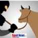 10 Sapi Bantuan di Desa Jatirejo Malah Dijual Ketua Pokmas