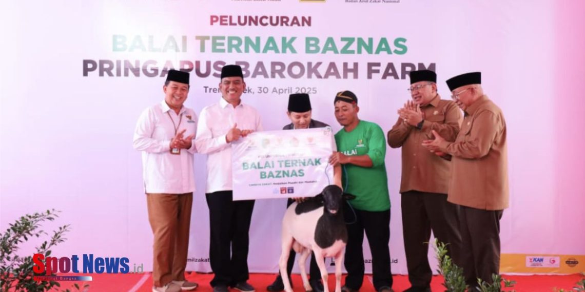 BAZNAS Luncurkan Balai Ternak di Trenggalek, Berdayakan Ekonomi Mustahik