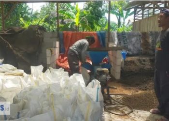 Balai Ternak Gembala Sejahtera Sukses Produksi dan Distribusi Kompos Kohe Domba Bernilai Ekonomis, Ke Trawas & Lamongan