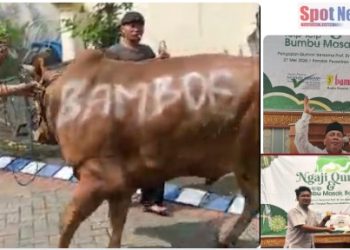 PT BAMBOE Indonesia Salurkan Hewan Kurban Sapi di Pondok Pesantren Mukmin Mandiri Sidoarjo