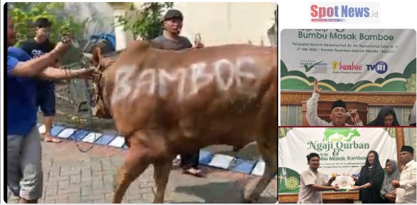 PT BAMBOE Indonesia Salurkan Hewan Kurban Sapi di Pondok Pesantren Mukmin Mandiri Sidoarjo