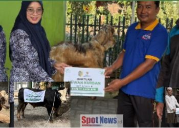 BAZNAS Tulungagung dan Pemkab Distribusikan Sedekah Daging Kurban untuk Masyarakat