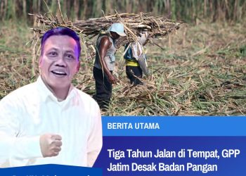 Tiga Tahun Jalan di Tempat, GPP Jatim Desak Badan Pangan Nasional Naikkan Harga Dasar Gula Produsen