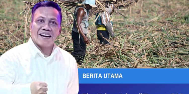 Tiga Tahun Jalan di Tempat, GPP Jatim Desak Badan Pangan Nasional Naikkan Harga Dasar Gula Produsen