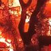 Empat Rumah Petak di Waringin Surabaya Terbakar Dini Hari, Diduga Akibat Korsleting Listrik
