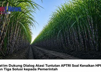 GPP Jatim Dorong Dialog Atasi Tuntutan APTRI Soal Kenaikan HPP Gula, Usulkan Tiga Solusi kepada Pemerintah