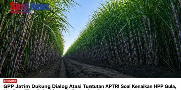 GPP Jatim Dorong Dialog Atasi Tuntutan APTRI Soal Kenaikan HPP Gula, Usulkan Tiga Solusi kepada Pemerintah
