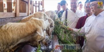 Dari Mustahik Menjadi Muzaki, Balai Ternak BAZNAS Gresik Tumbuhkan Kemandirian Peternak