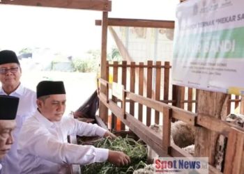 Dari Mustahik Menjadi Muzaki, Kelompok Ternak Mekarsari Jadi Bukti Zakat Mampu Mengubah Kehidupan