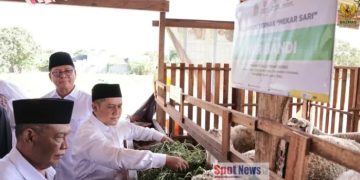 Dari Mustahik Menjadi Muzaki, Kelompok Ternak Mekarsari Jadi Bukti Zakat Mampu Mengubah Kehidupan