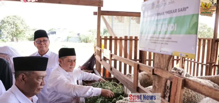 Dari Mustahik Menjadi Muzaki, Kelompok Ternak Mekarsari Jadi Bukti Zakat Mampu Mengubah Kehidupan